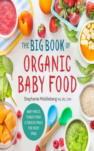 The Big Book Of Organic Baby Food Baby Purees Finger Foods And Toddler Meals For Every Stage Stephanie Middleberg