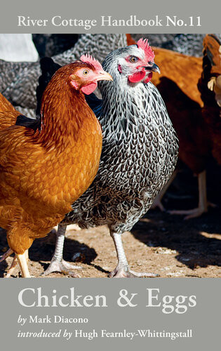 Chicken Eggs River Cottage Handbook No11 Mark Diacono