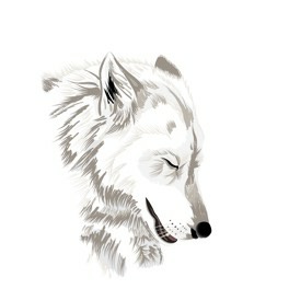 Cherished Mate Wolf Shifter Romance Cybermates Book 1 Candace Ayers