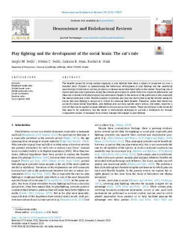 Play Fighting And The Development Of The Social Brain The Rats Tale Sergio M Pellis