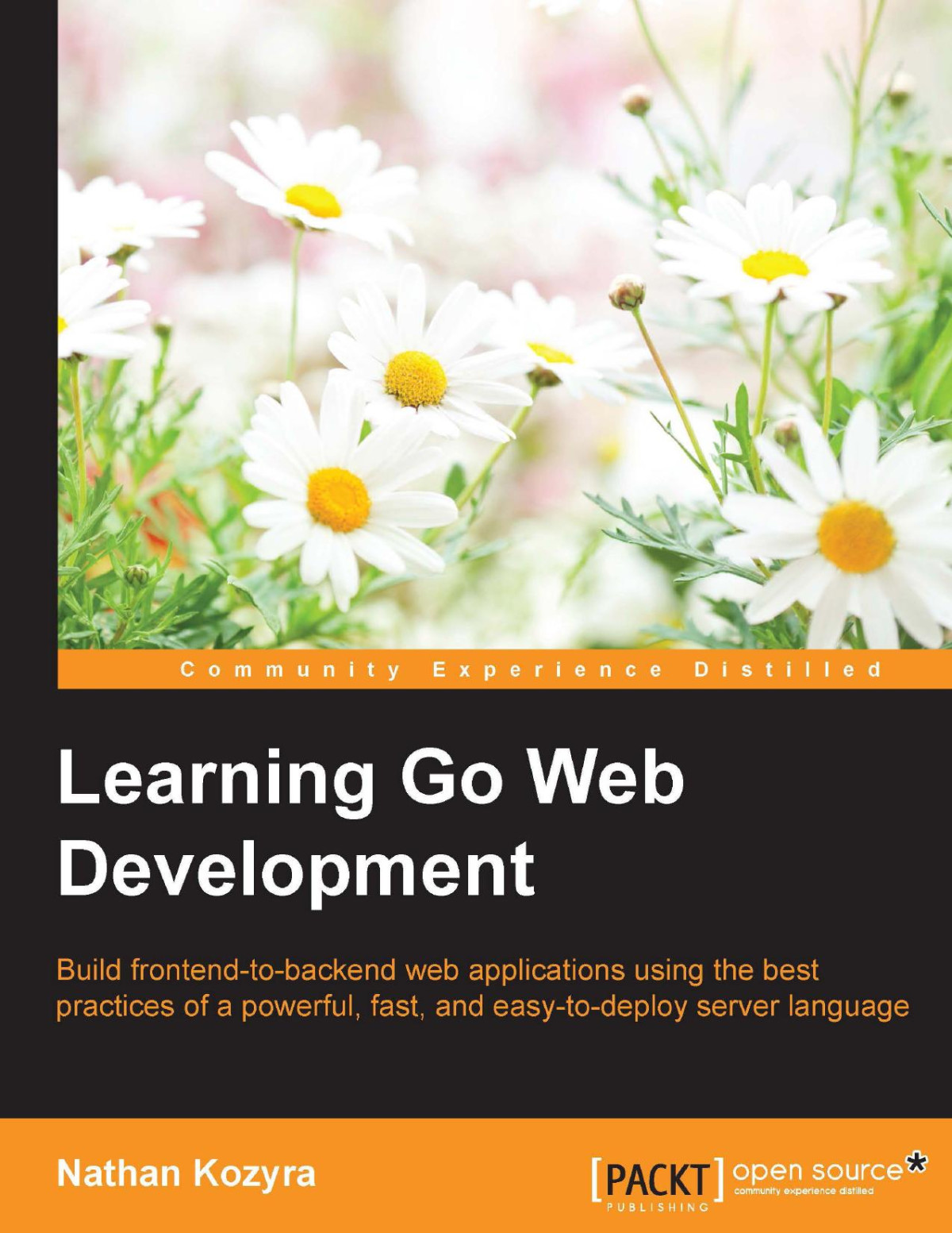Learning Go Web Development Build Frontendtobackend Web Applications Using The Best Practices Of A Powerful Fast And Easytodeploy Server Language Nathan Kozyra