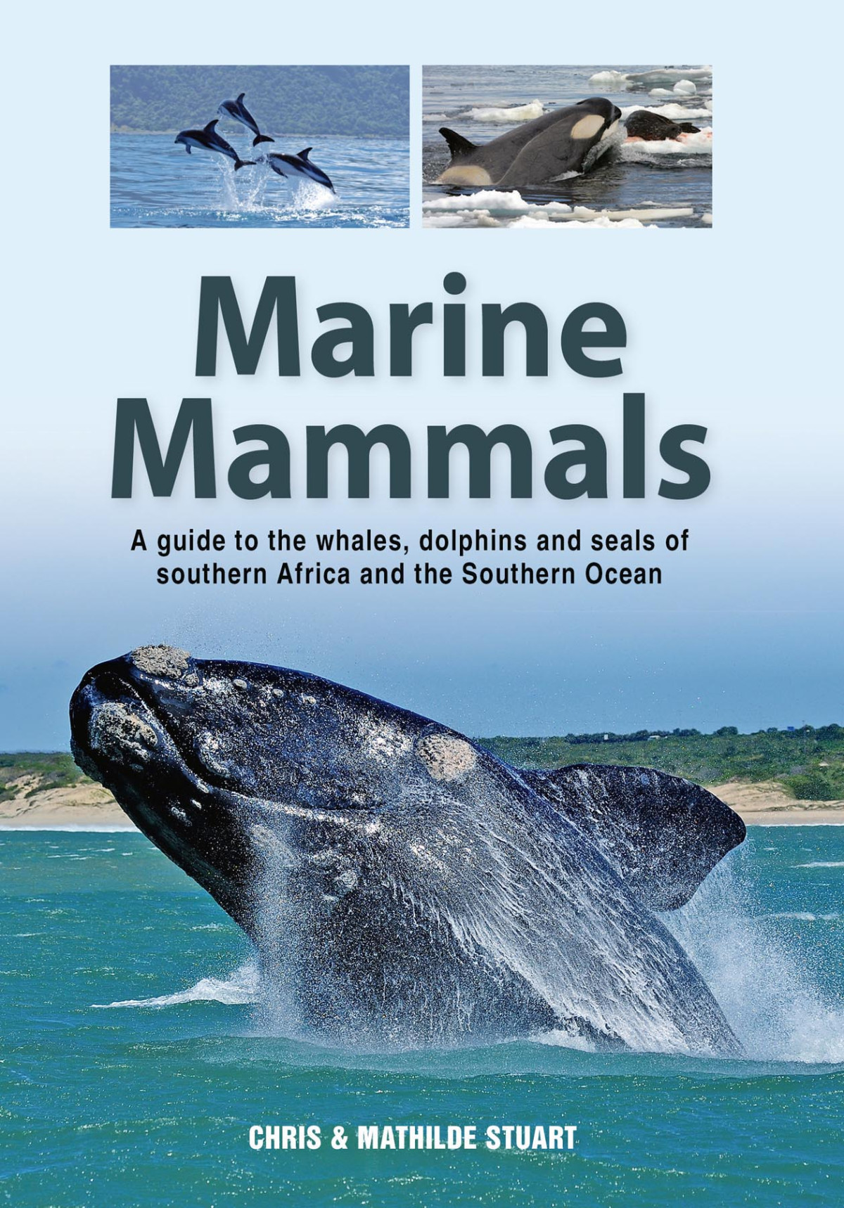 Marine Mammals A Guide To The Whales Dolphins And Seals Of Southern Africa And The Southern Ocean 1st Edition Christ Stuart