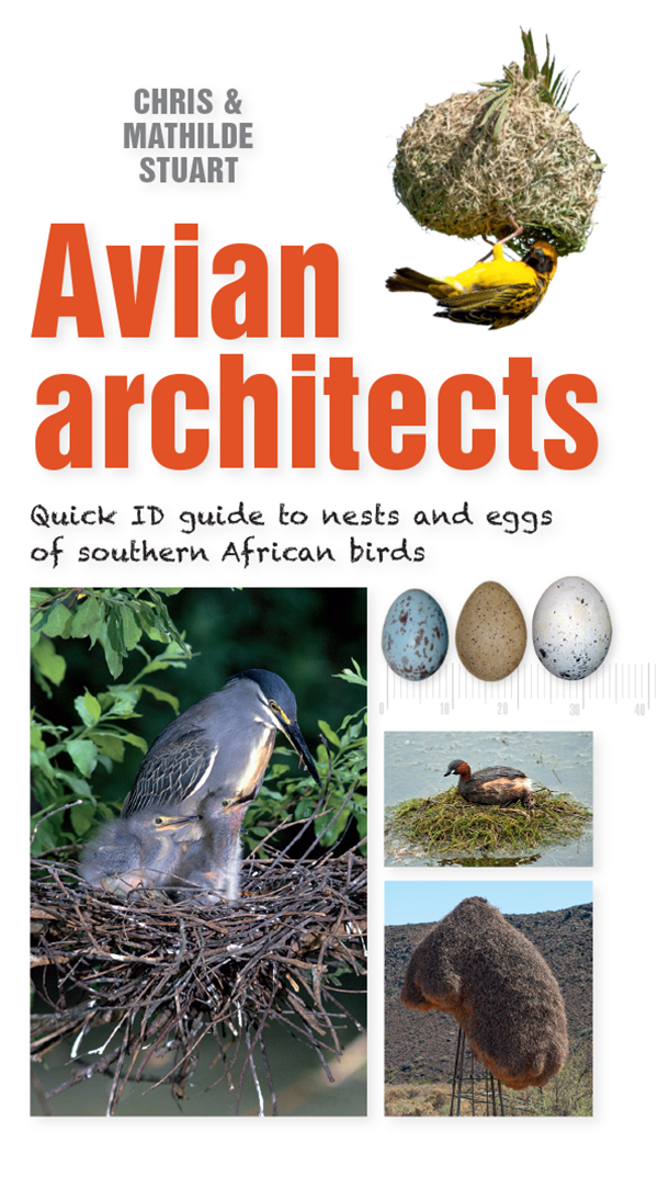 Avian Architects Quick Id Guide To Nests And Eggs Of Southern African Birds Chris Stuart