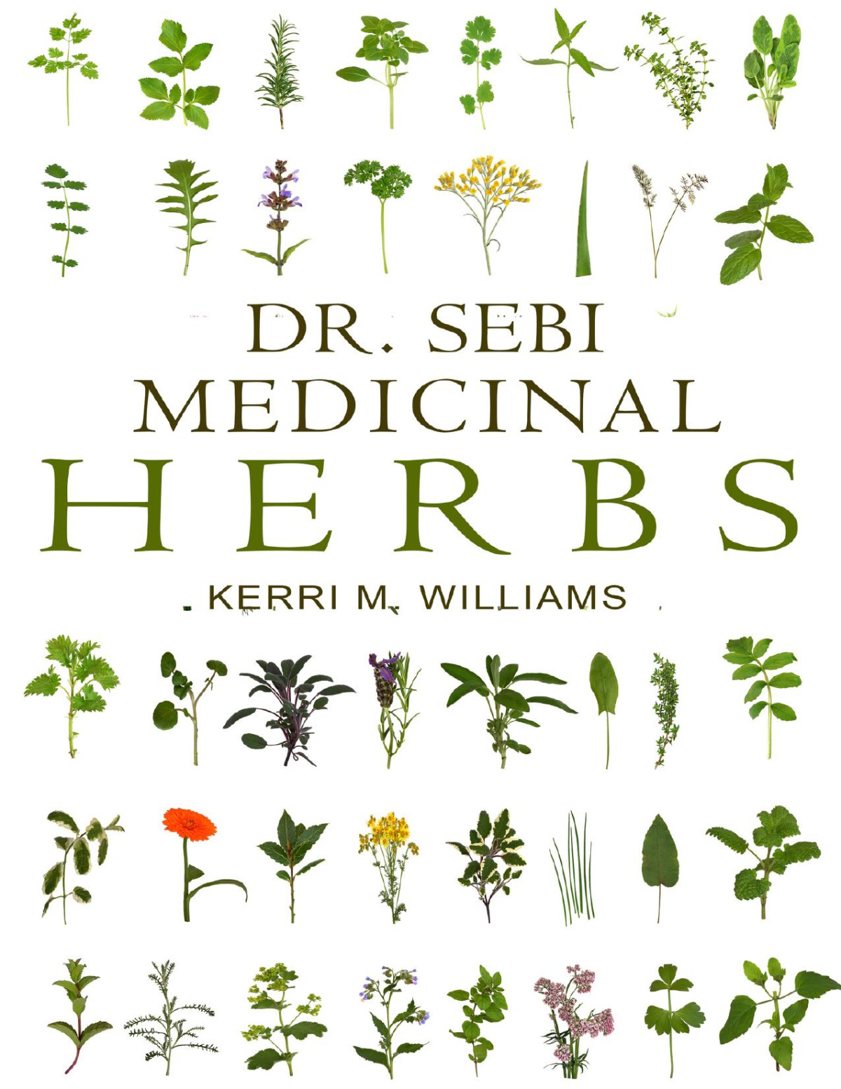Dr Sebi Medicinal Herbs Healing Uses Dosage Diy Capsules Where To Buy Wildcrafted Herbal Plants For Remedies Detox Cleanse Immunity Weight Loss Lungs Eyes Skin Hair Rejuvenatio Williams