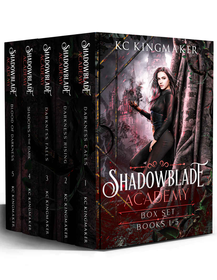 Shadowblade Academy Complete Series Box Set Kc Kingmaker