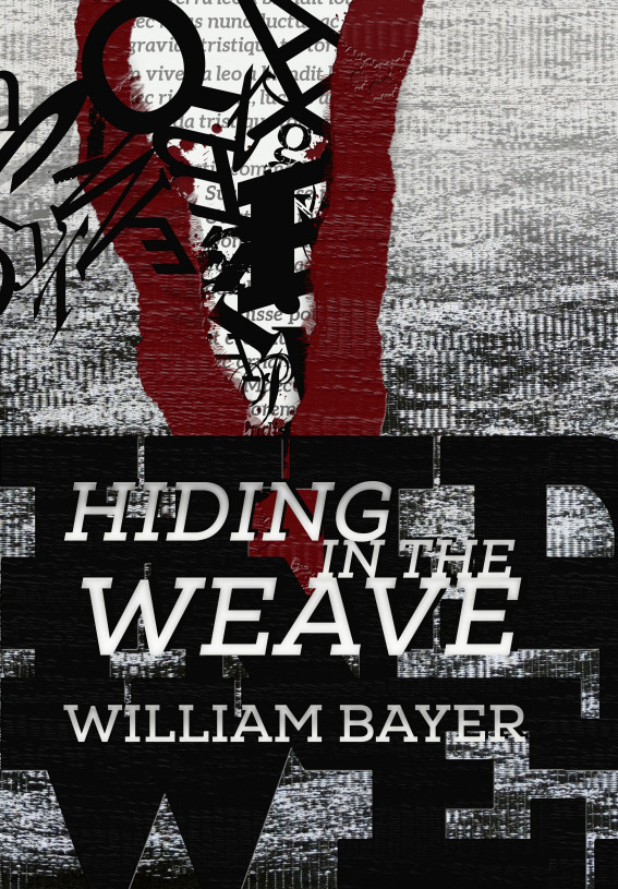 Hiding In The Weave William Bayer