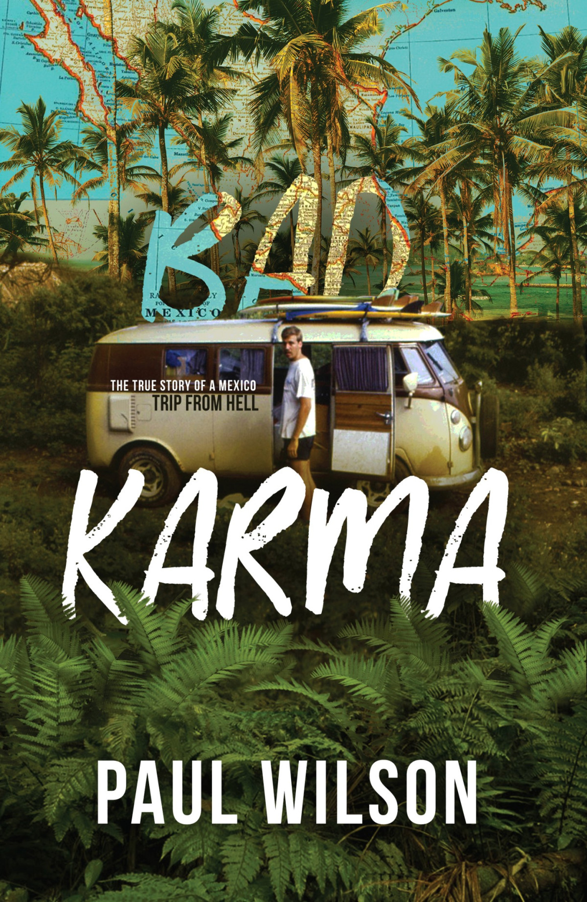Bad Karma The True Story Of A Mexico Trip From Hell Paul Wilson