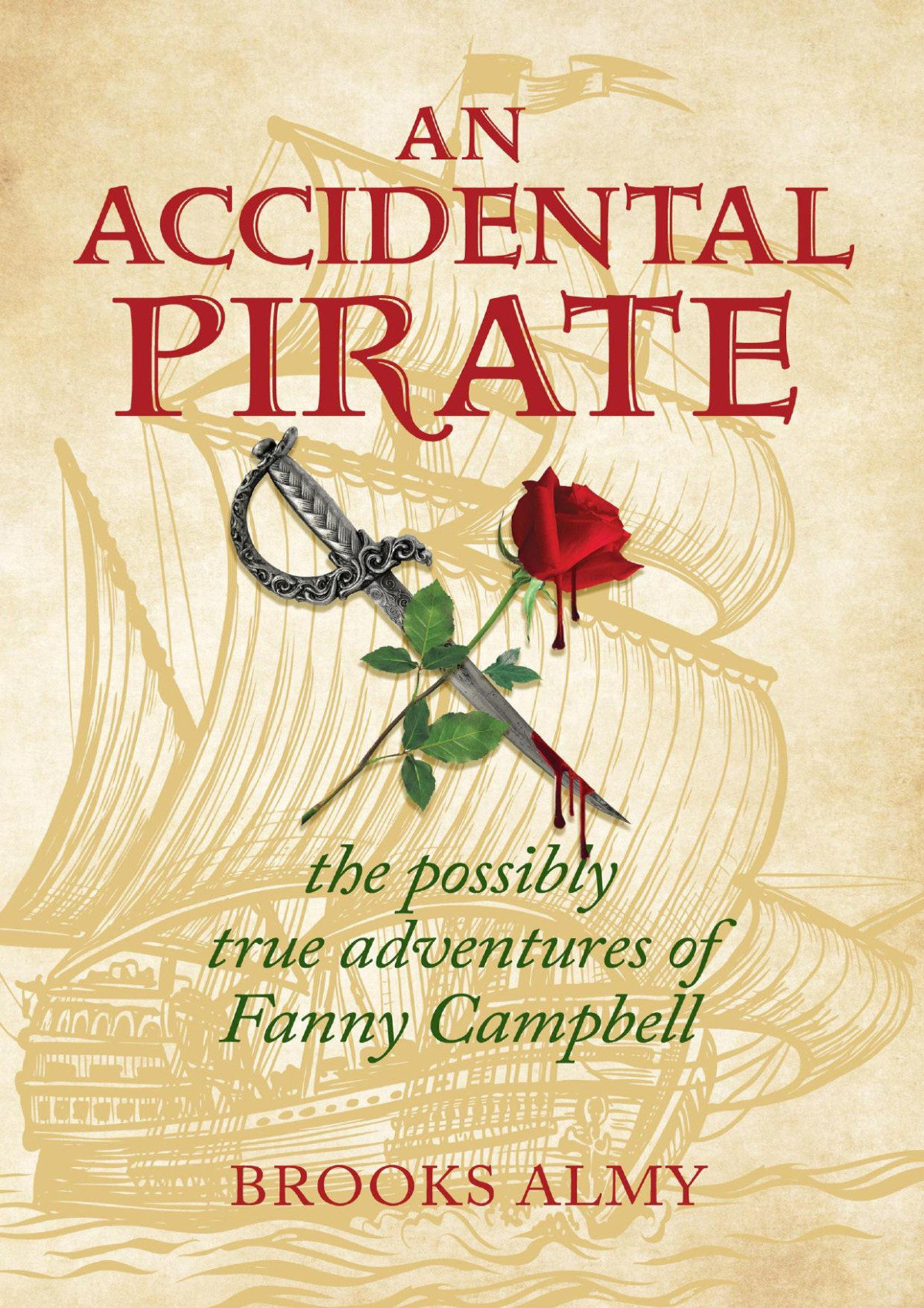 An Accidental Pirate Brooks Almy
