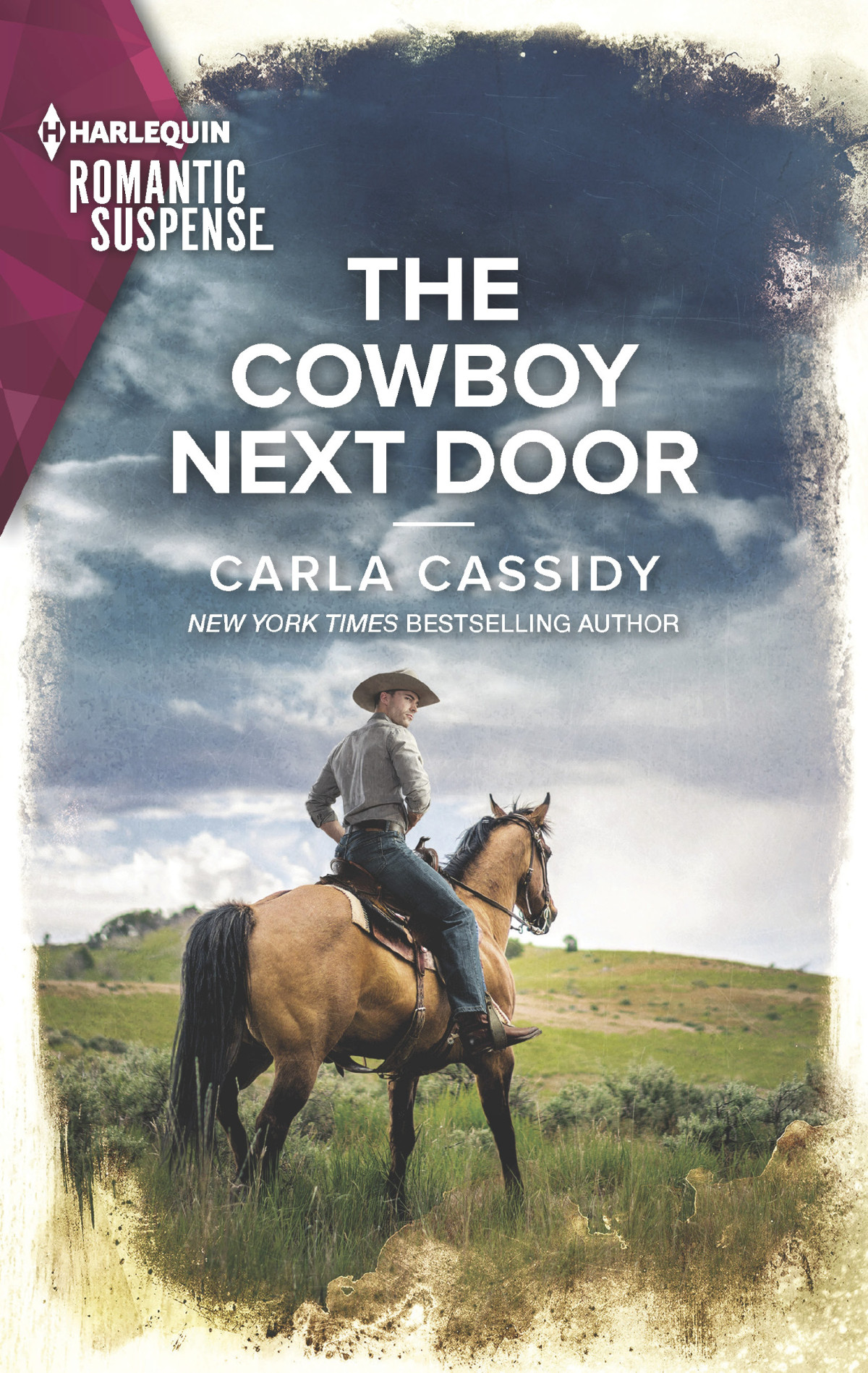 The Cowboy Next Door Carla Cassidy