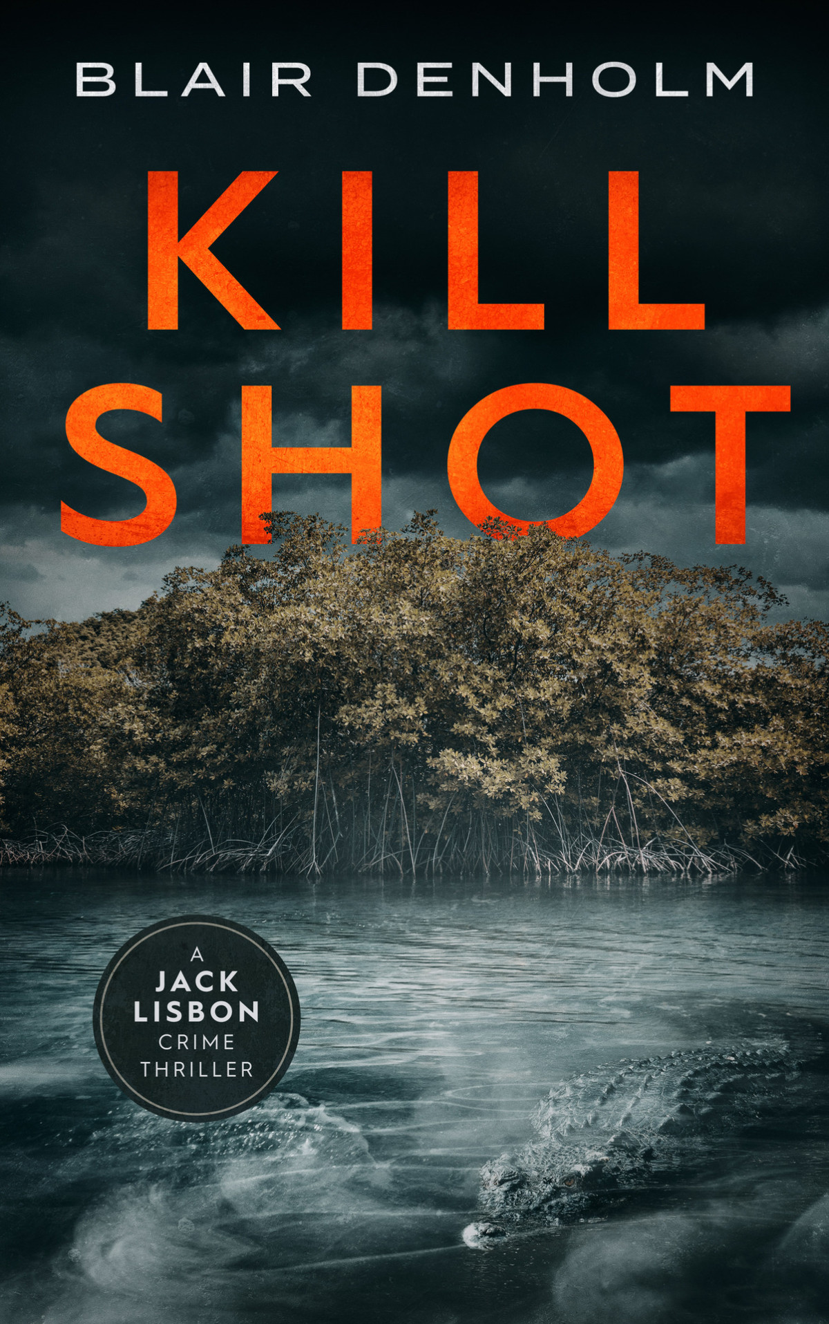Kill Shot An Australian Crime Thriller The Fighting Detective Book 1 Blair Denholm