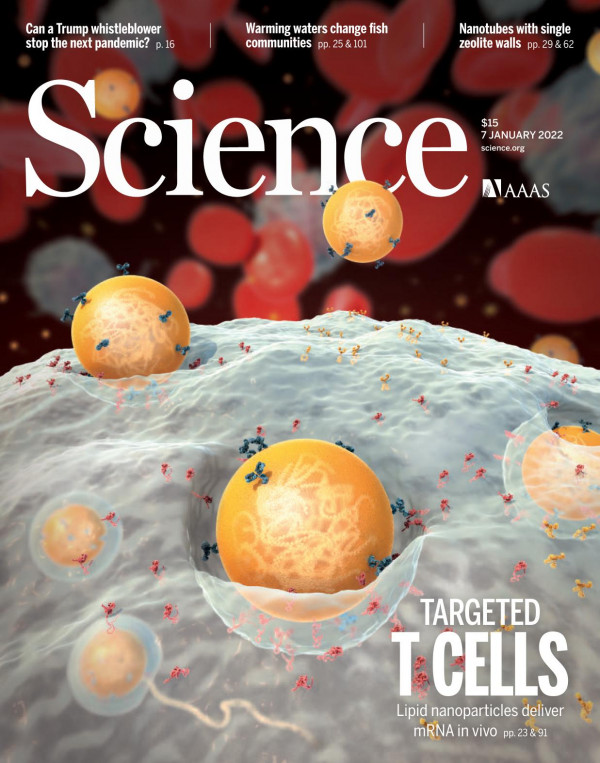 Science Targeted T Cells Aaas