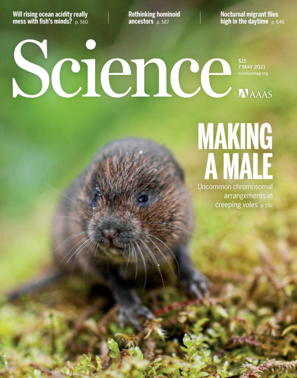 Science Making A Male Aaas
