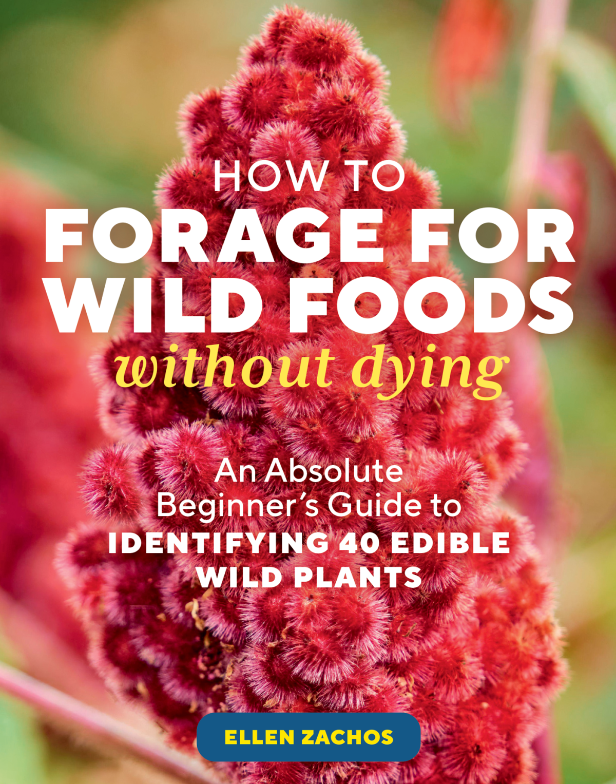 How To Forage For Wild Foods Without Dying An Absolute Beginners Guide To Identifying 40 Edible Wild Plants Ellen Zachos