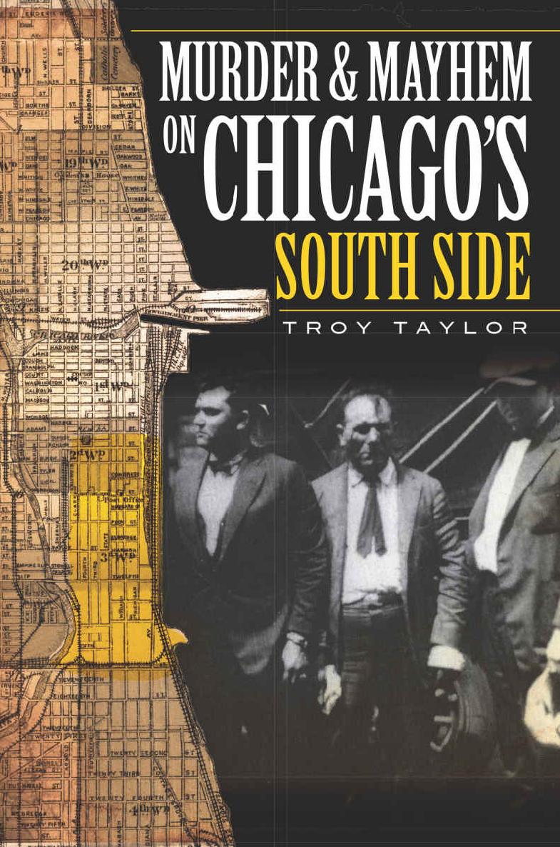 Murder Mayhem In Chicagos South Side Troy Taylor