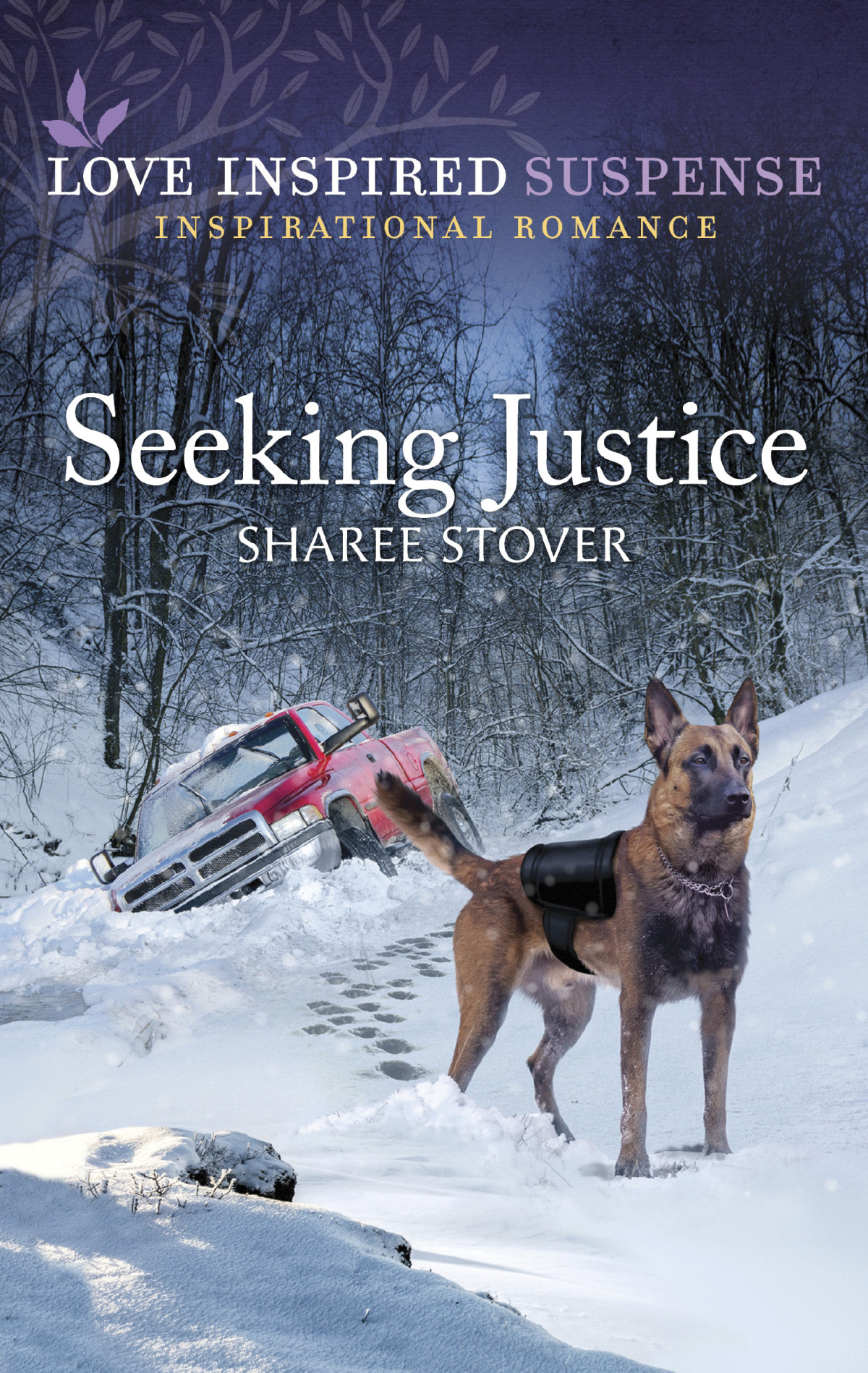 Seeking Justice Sharee Stover