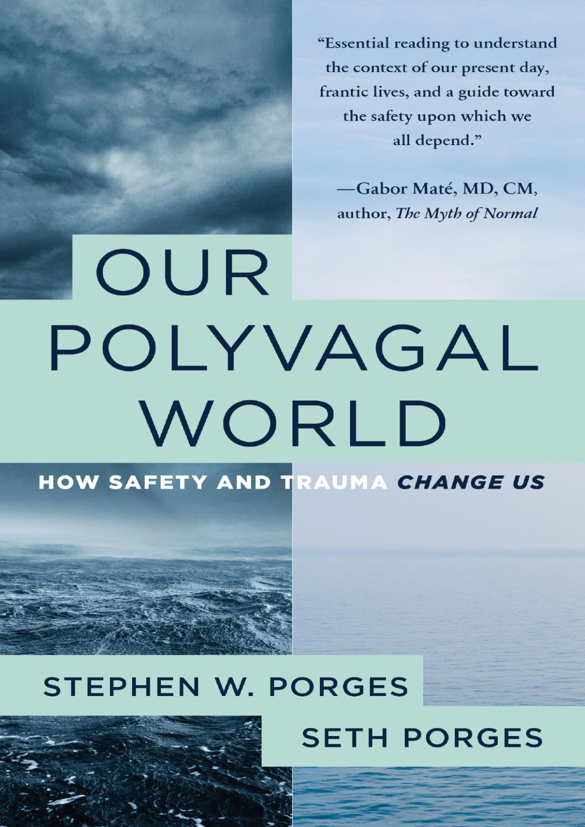 Our Polyvagal World Stephen W Porges