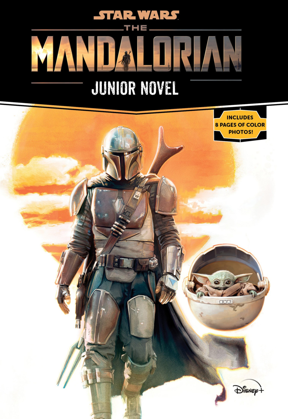 Star Wars The Mandalorian Junior Novel Joe Schreiber