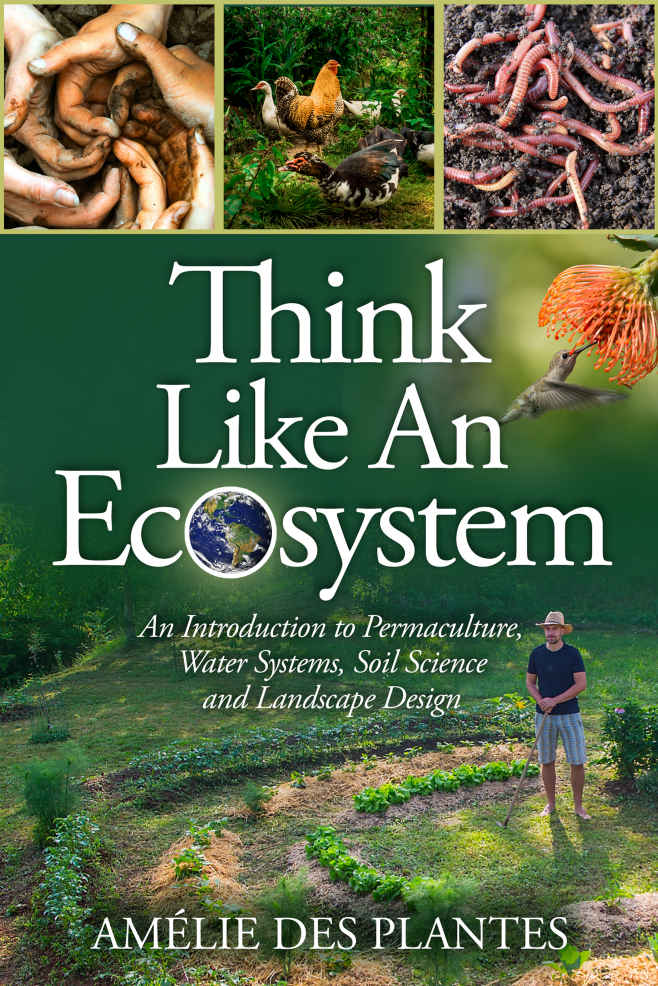 Think Like An Ecosystem An Introduction To Permaculture Water Systems Soil Science And Landscape Design Amlie Des Plantes