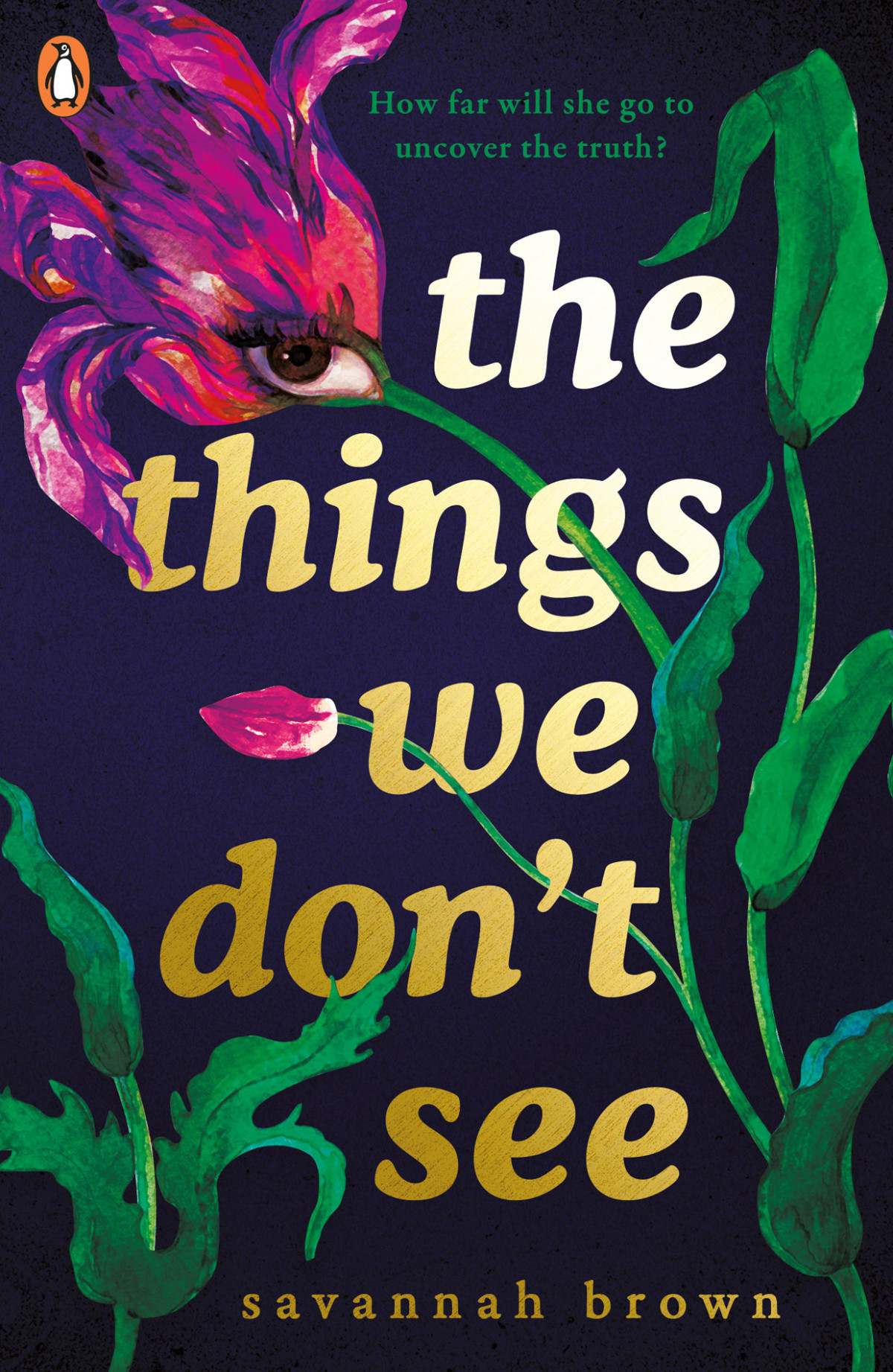 The Things We Dont See Savannah Brown