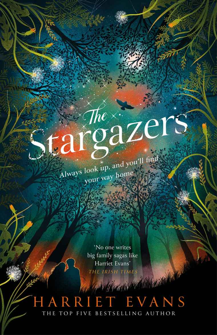 The Stargazers The Utterly Engaging Story Of A House A Family And The Hidden Secrets That Change Lives Forever Harriet Evans