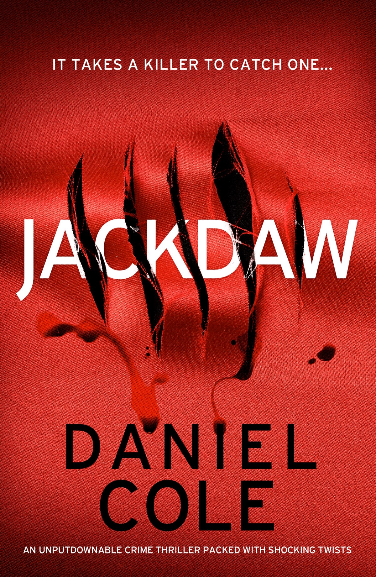 Jackdaw Daniel Cole