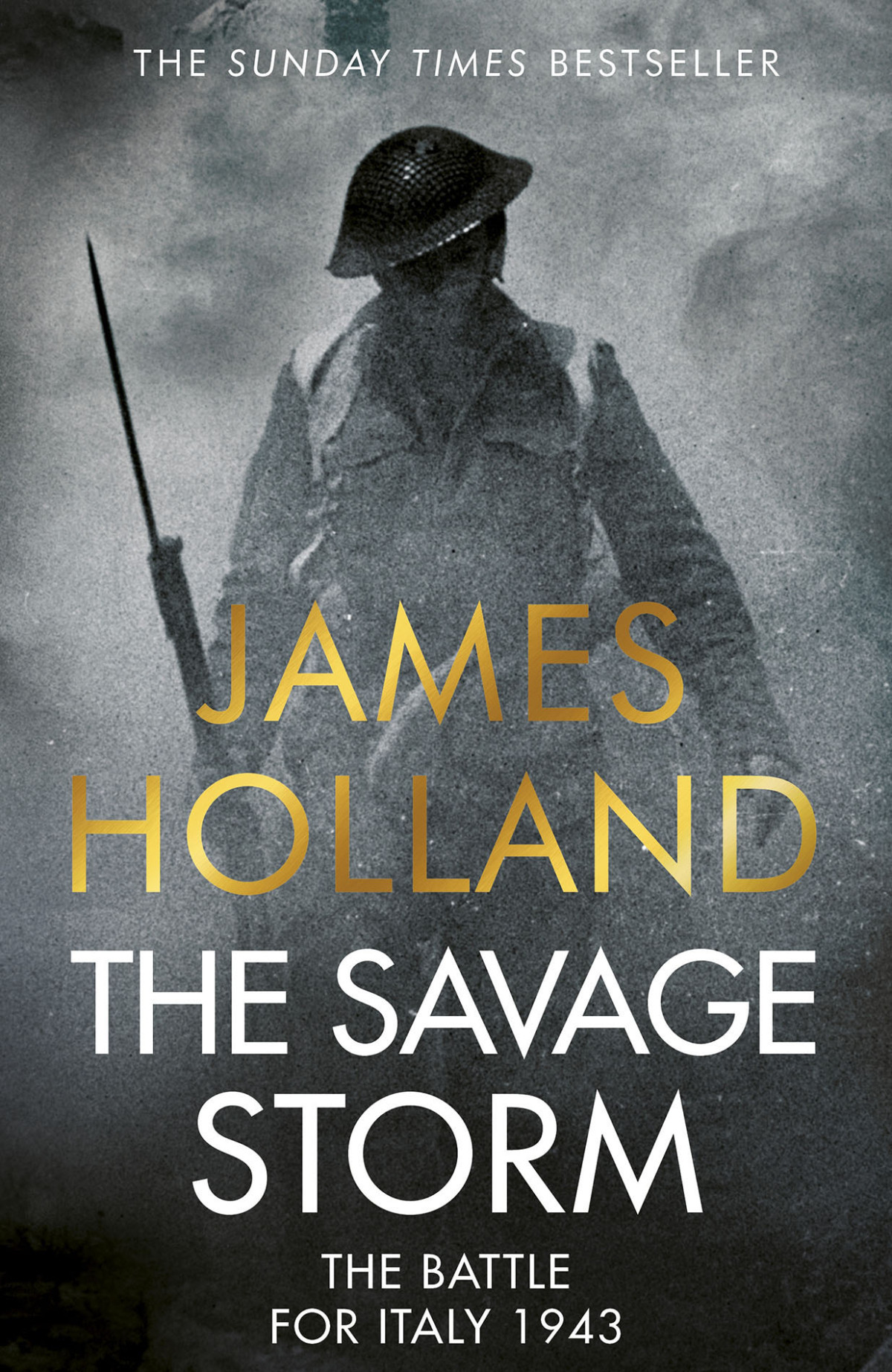 The Savage Storm The Battle For Italy 1943 Holland James