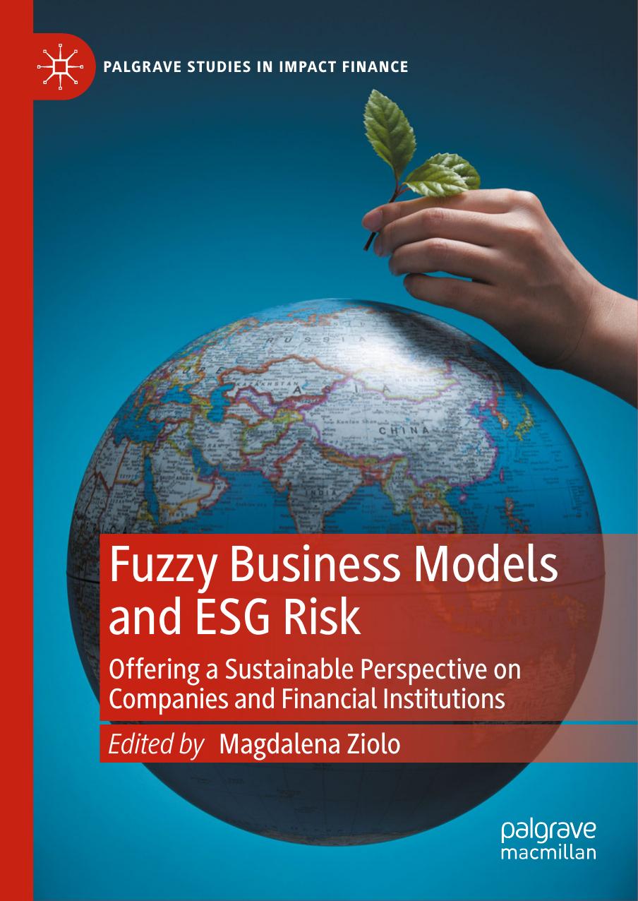 Fuzzy Business Models And Esg Risk Offering A Sustainable Perspective On Companies And Financial Institutions Magdalena Ziolo