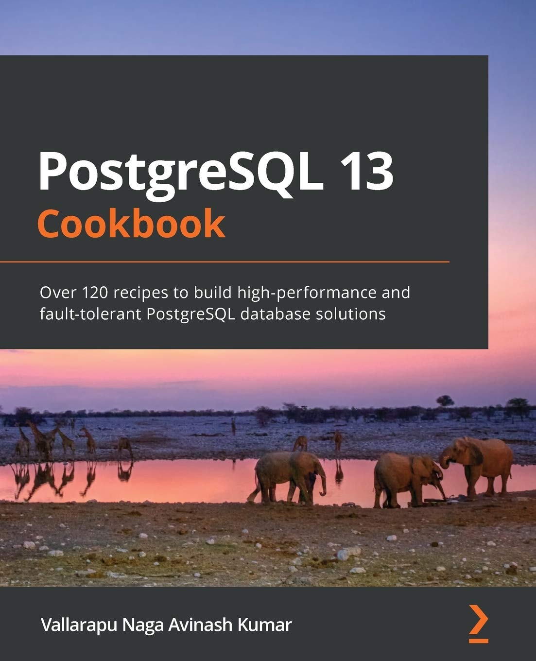Postgresql 13 Cookbook Over 120 Recipes To Build Highperformance And Faulttolerant Postgresql Database Solutions 1st Edition Vallarapu Naga Avinash Kumar