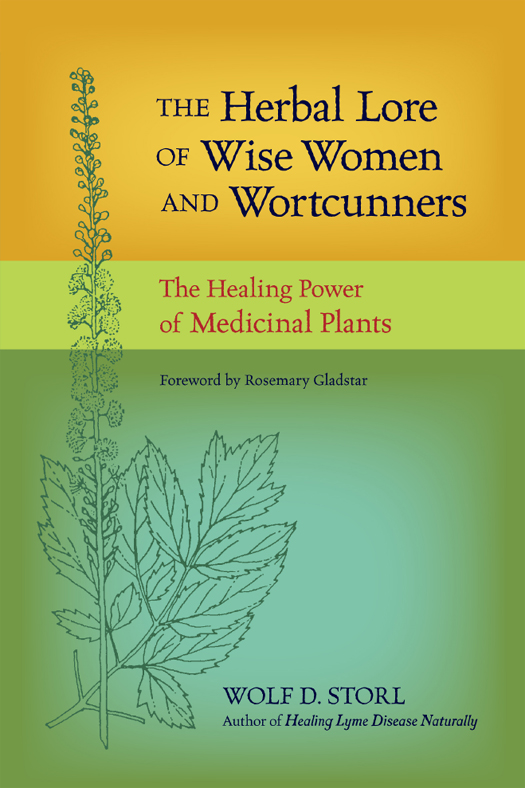 The Herbal Lore Of Wise Women And Wortcunners The Healing Power Of Medicinal Plants Wolf D Storl