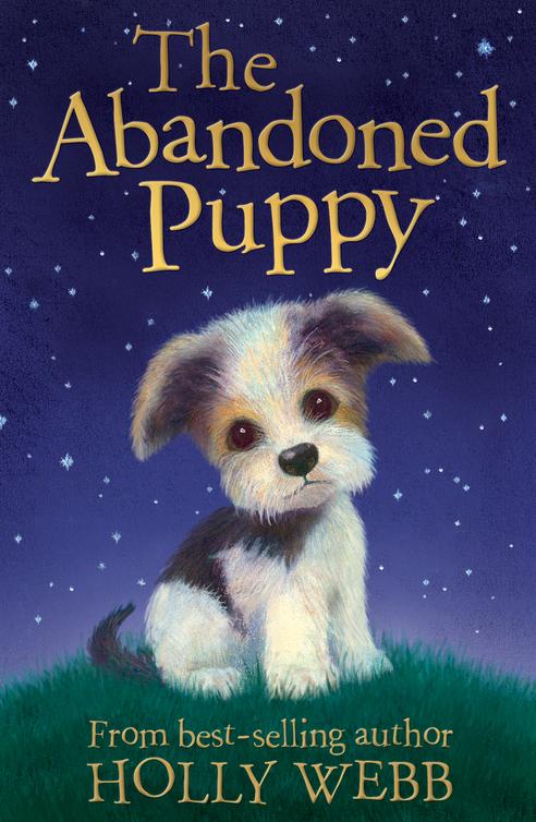 The Abandoned Puppy Holly Webb