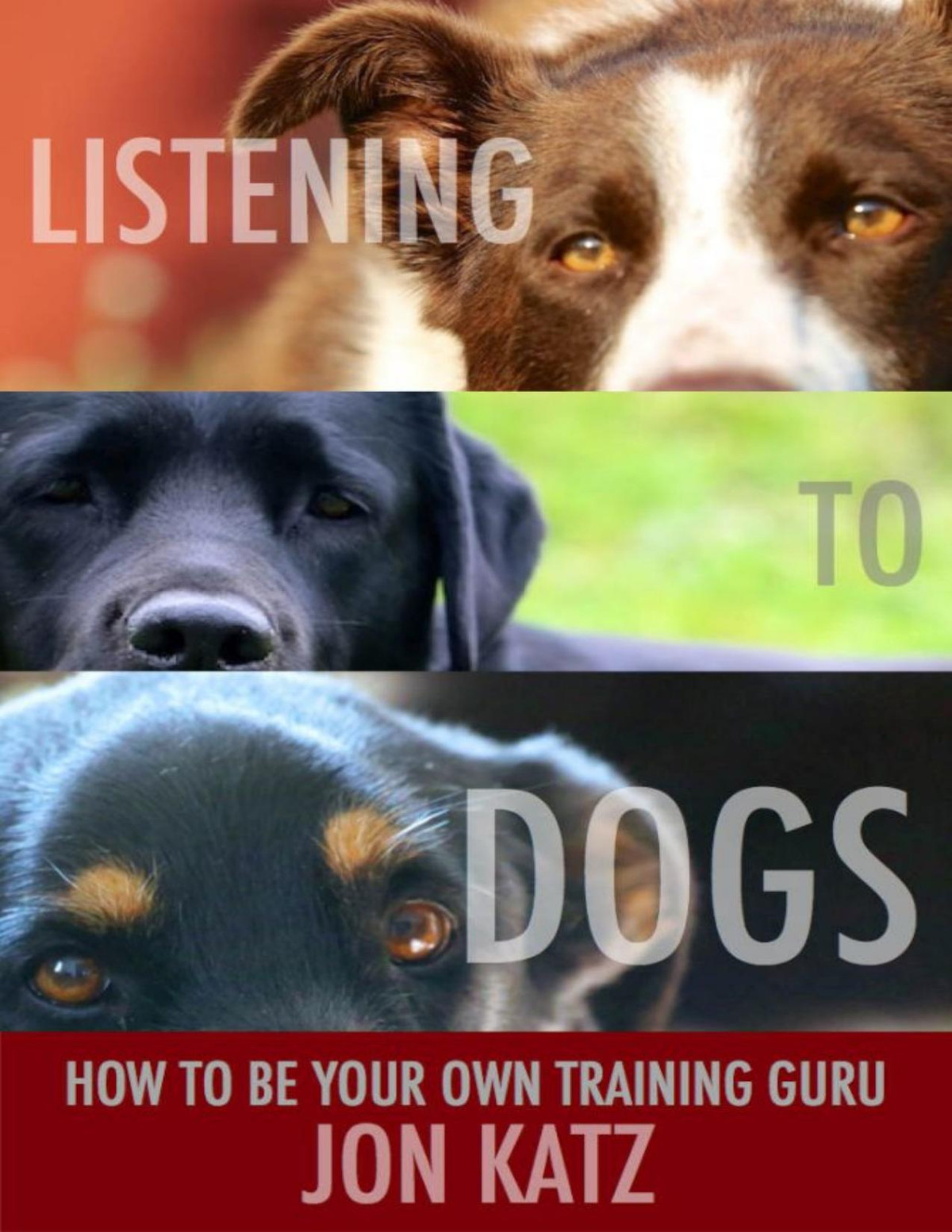 Listening To Dogs Jon Katz