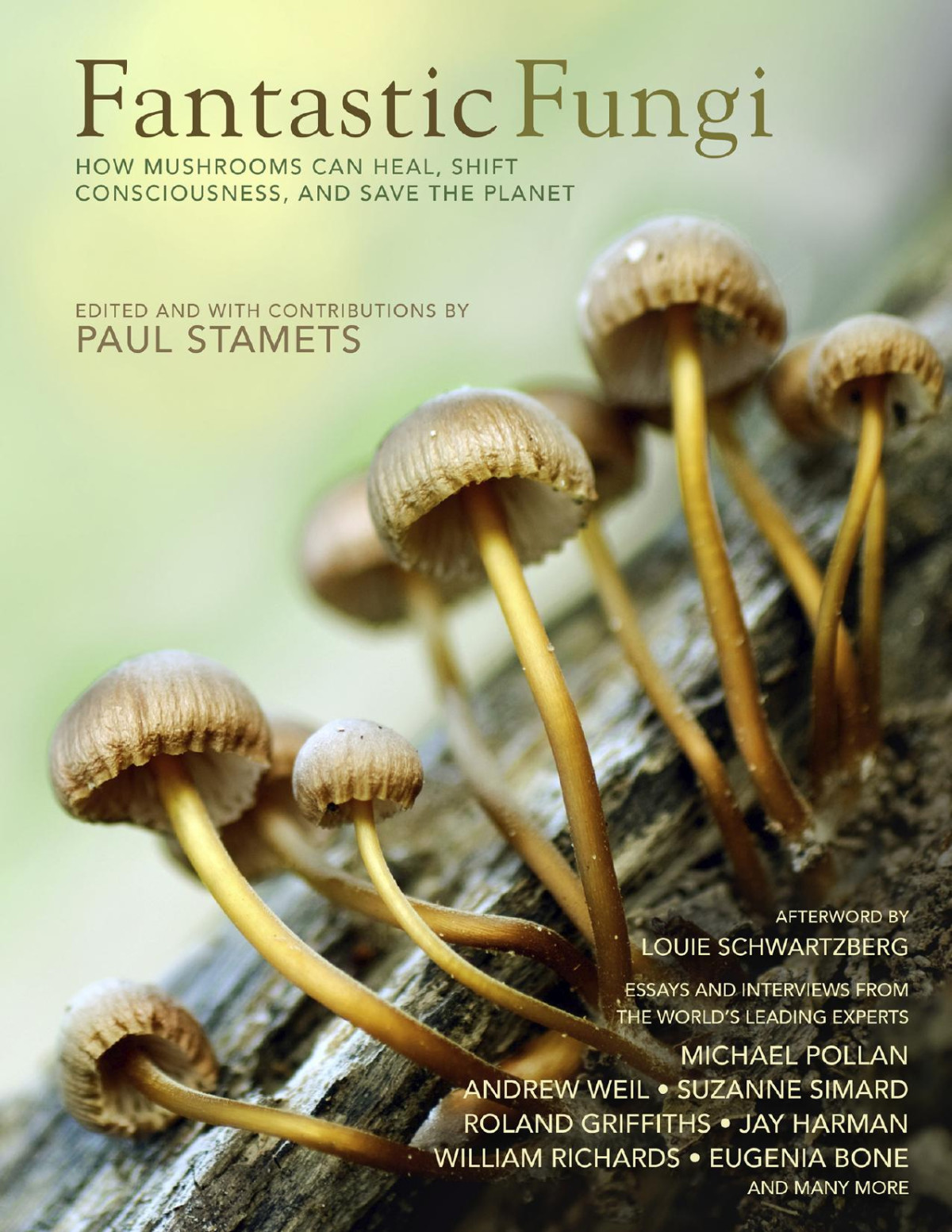 Fantastic Fungi Paul Stamets