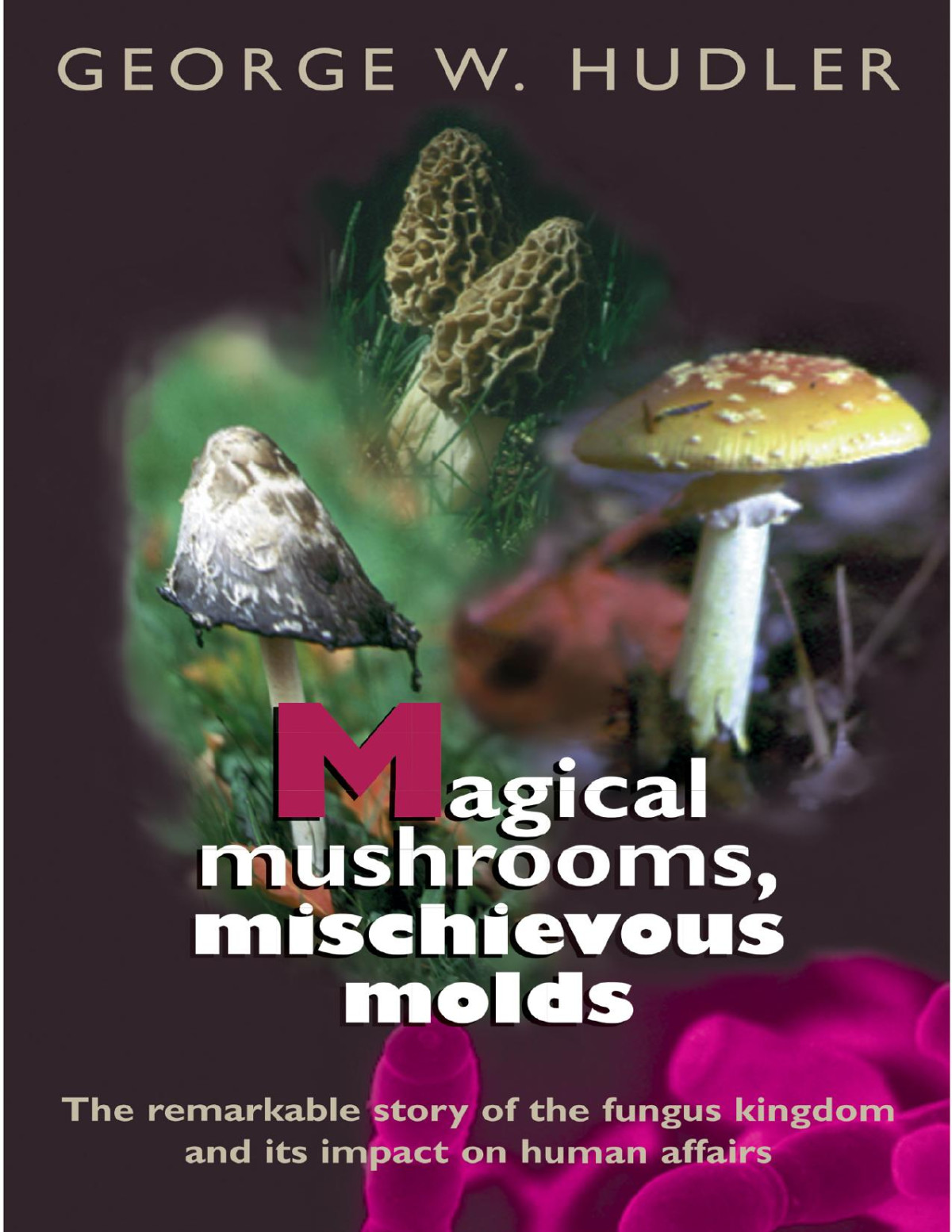 Magical Mushrooms Mischievous Molds 5th Edition George W Hudler