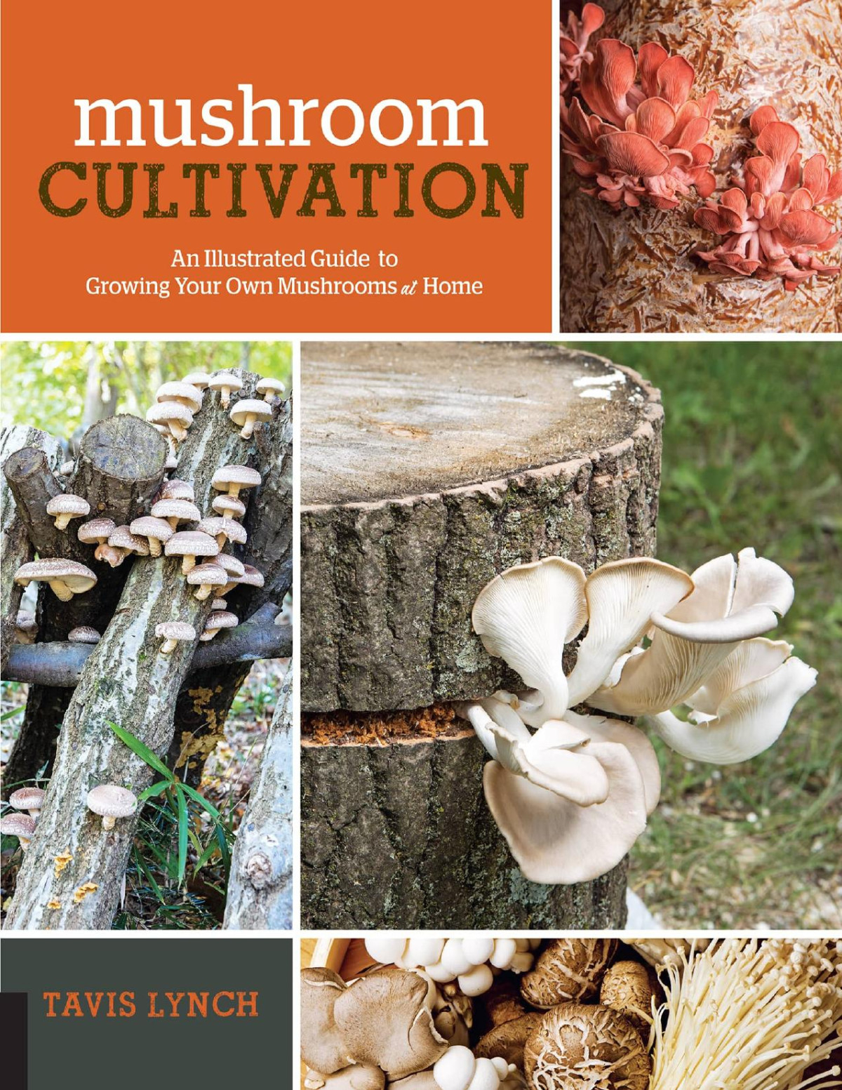 Mushroom Cultivation Tavis Lynch