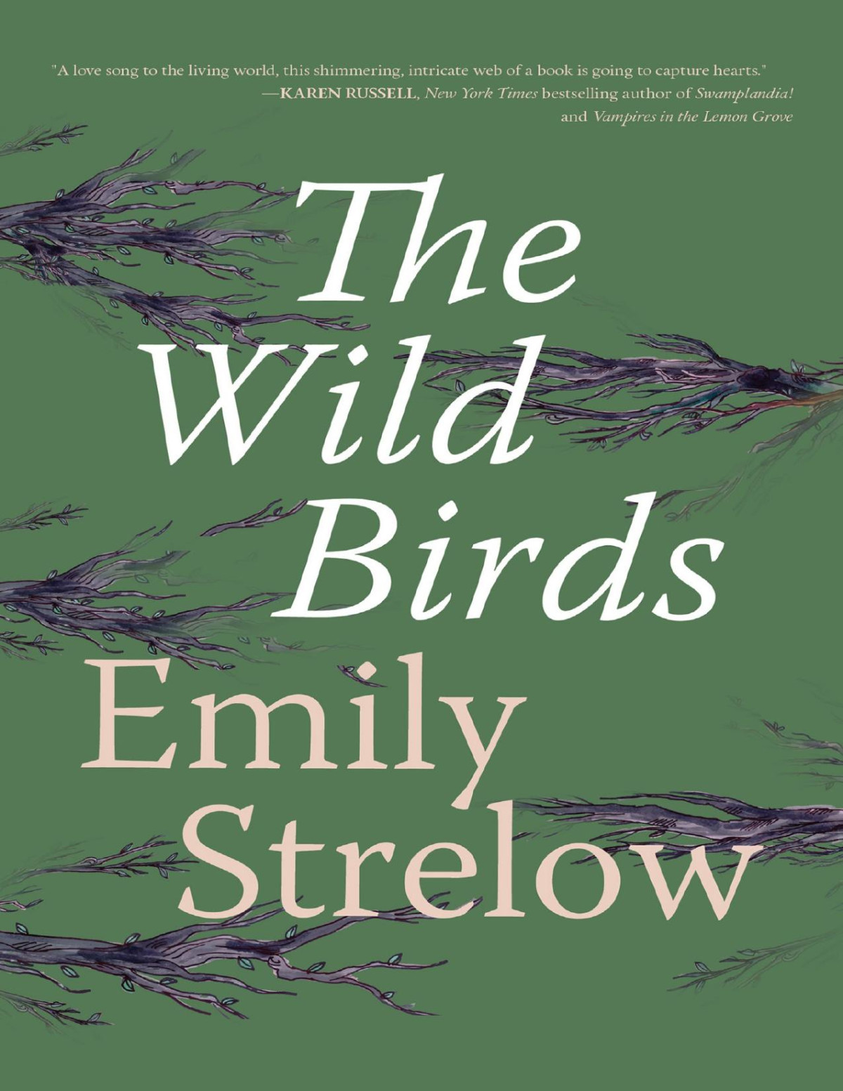 The Wild Birds Emily Strelow