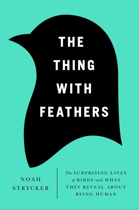 The Thing With Feathers Noah Strycker