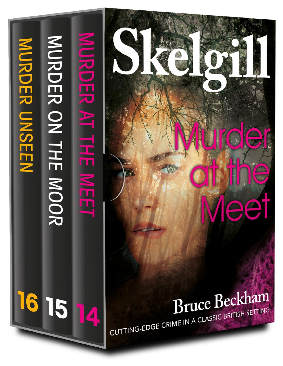 The Di Skelgill Series Books 1416 Compelling British Crime Mysteries Detective Inspector Skelgill Boxset Book 5 Bruce Beckham