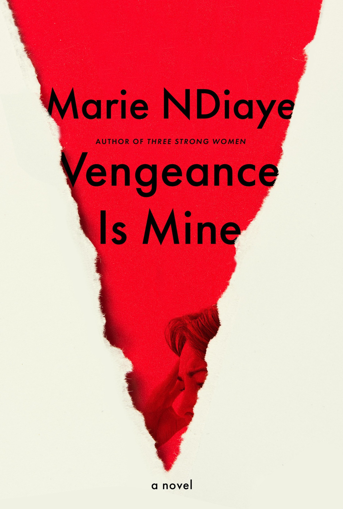 Vengeance Is Mine A Novel Marie Ndiaye Jordan Stump Translation