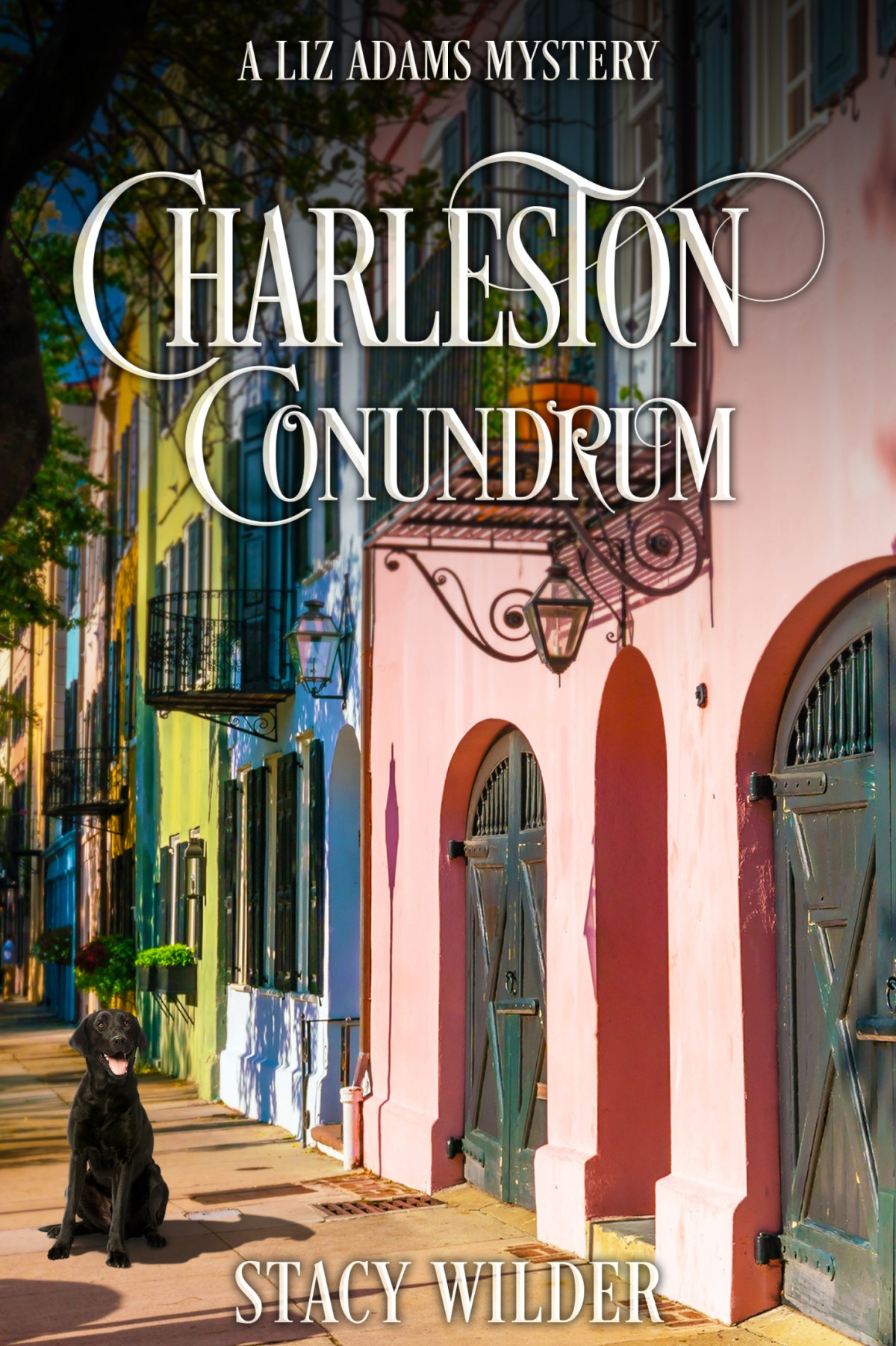 Charleston Conundrum Stacy Wilder