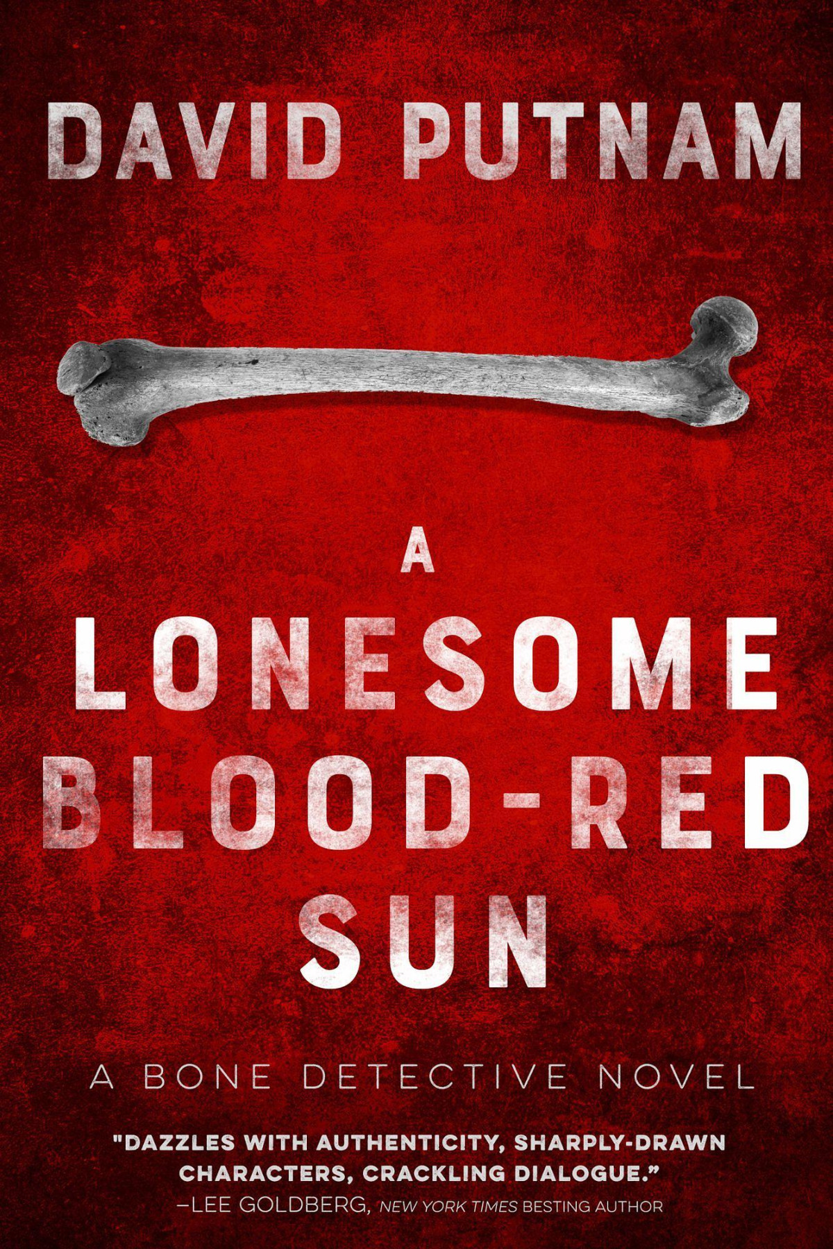A Lonesome Bloodred Sun David Putnam