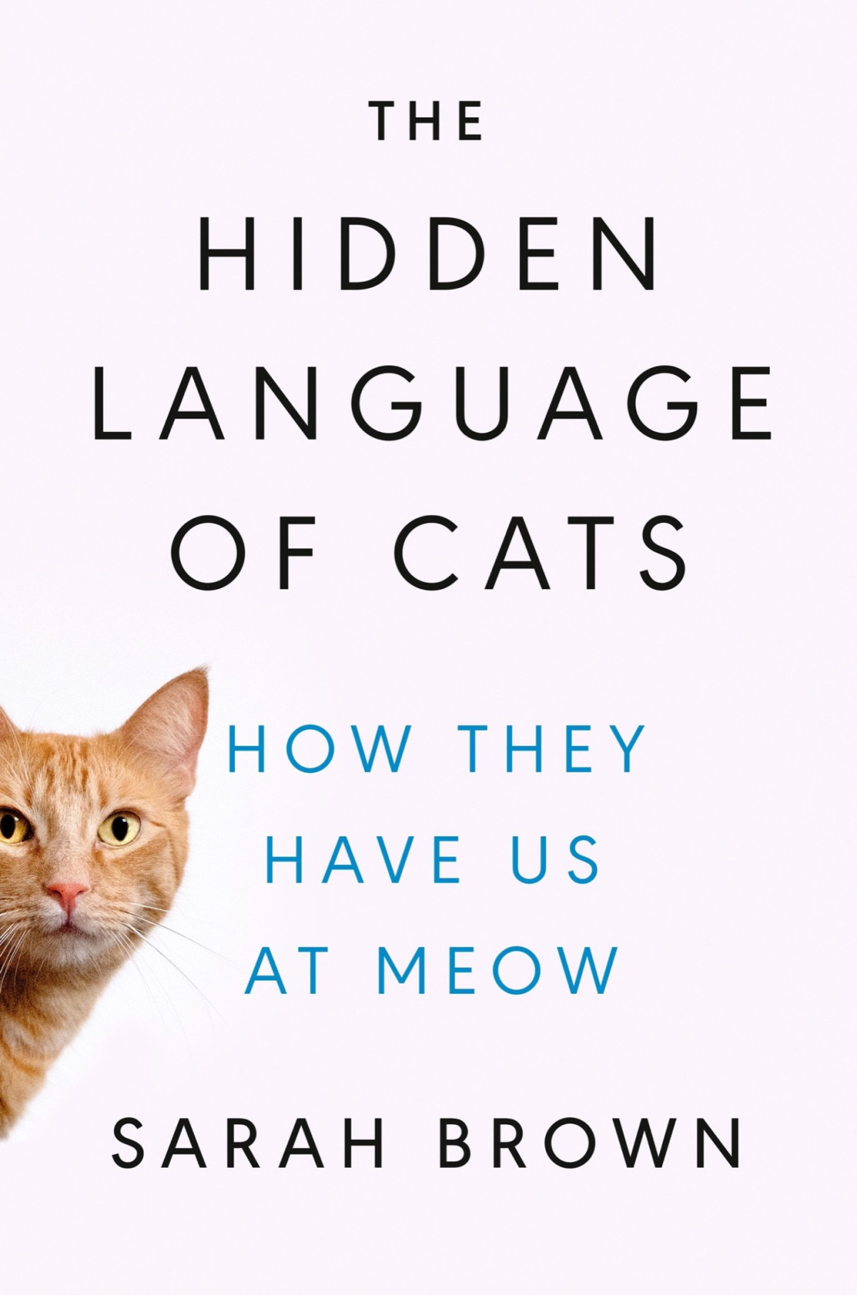 The Hidden Language Of Cats How They Have Us At Meow Sarah Brown