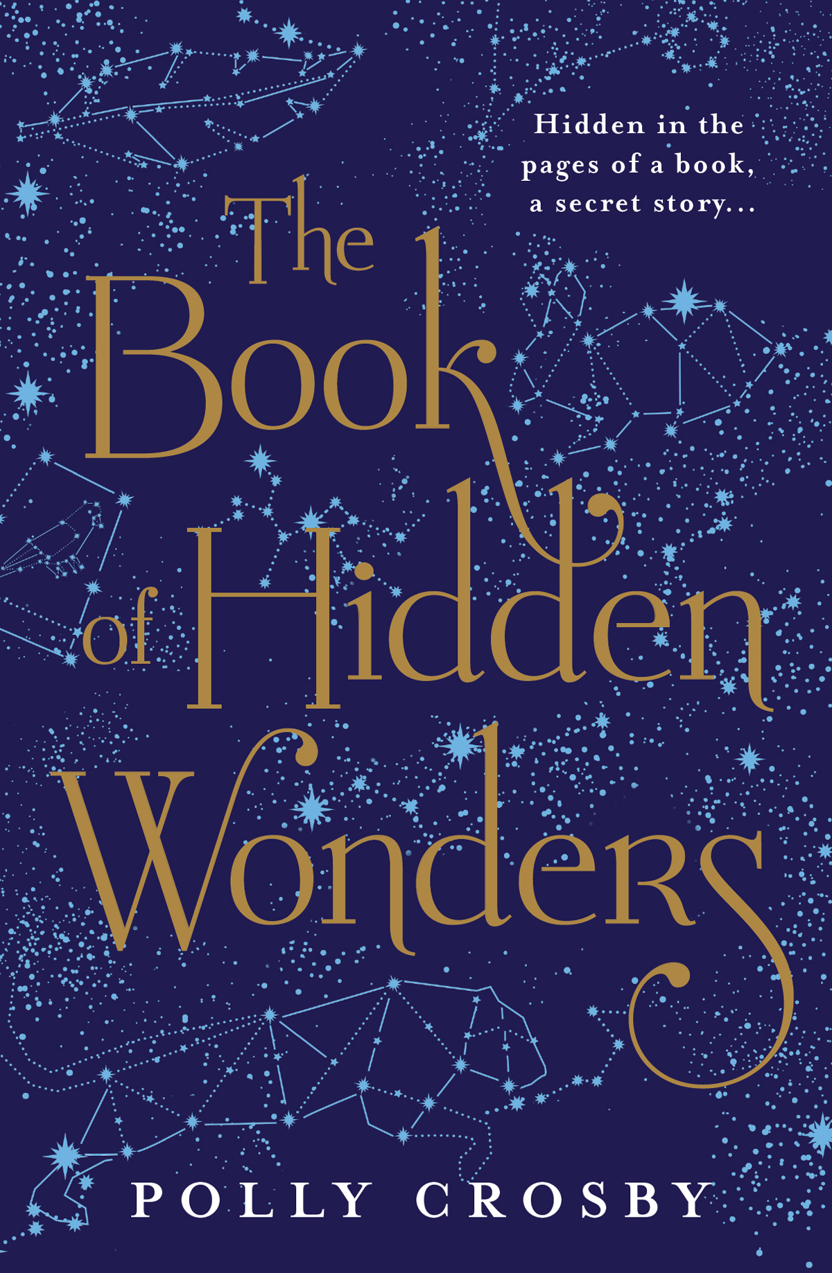 The Book Of Hidden Wonders Polly Crosby