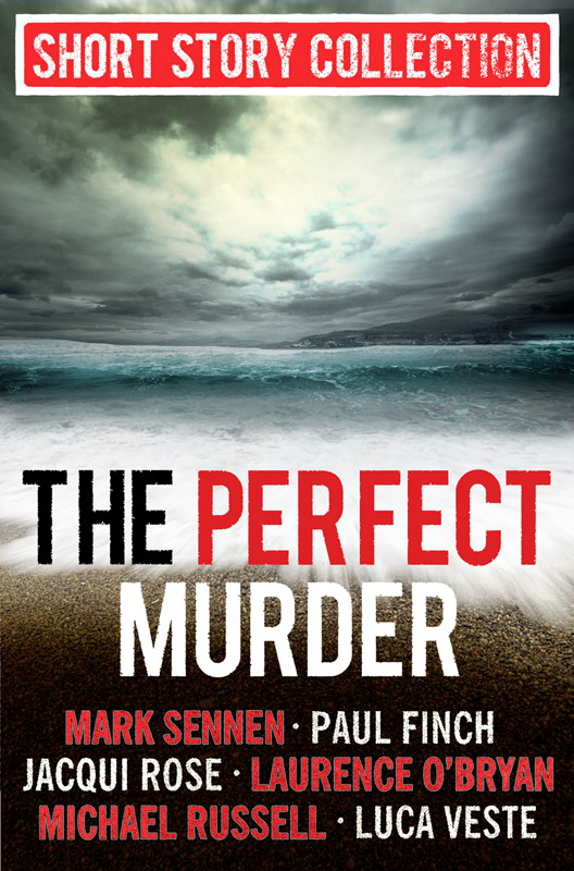 The Perfect Murder Jacqui Rose