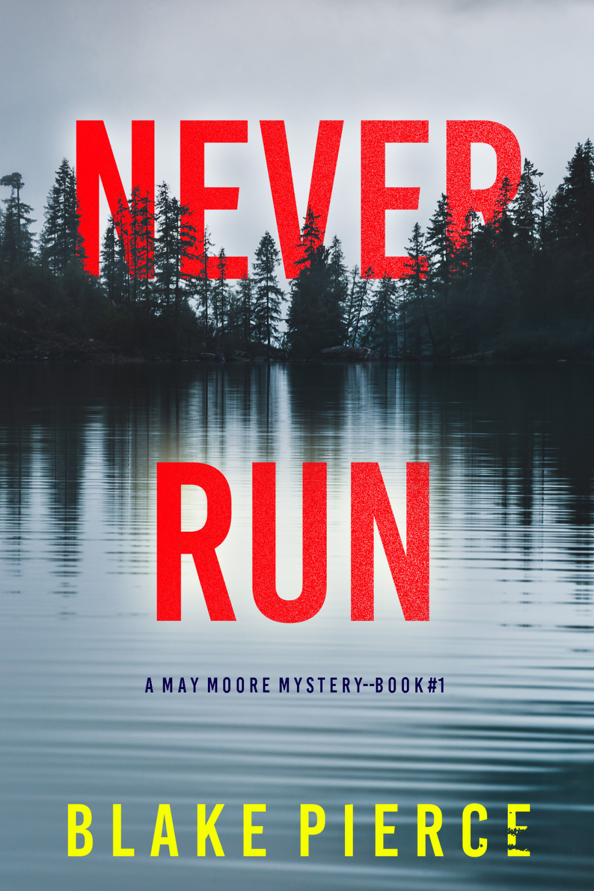 Never Run Blake Pierce