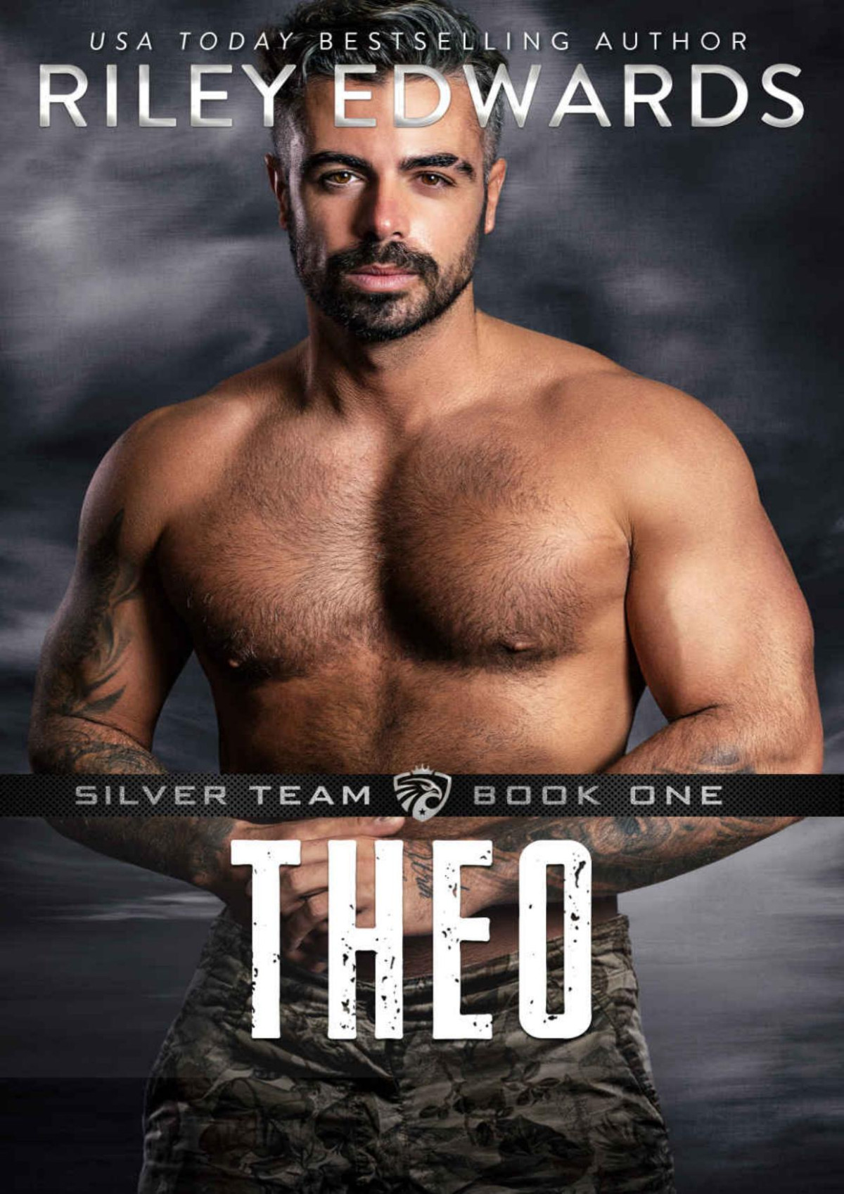 Theo Silver Team Book 1 Riley Edwards