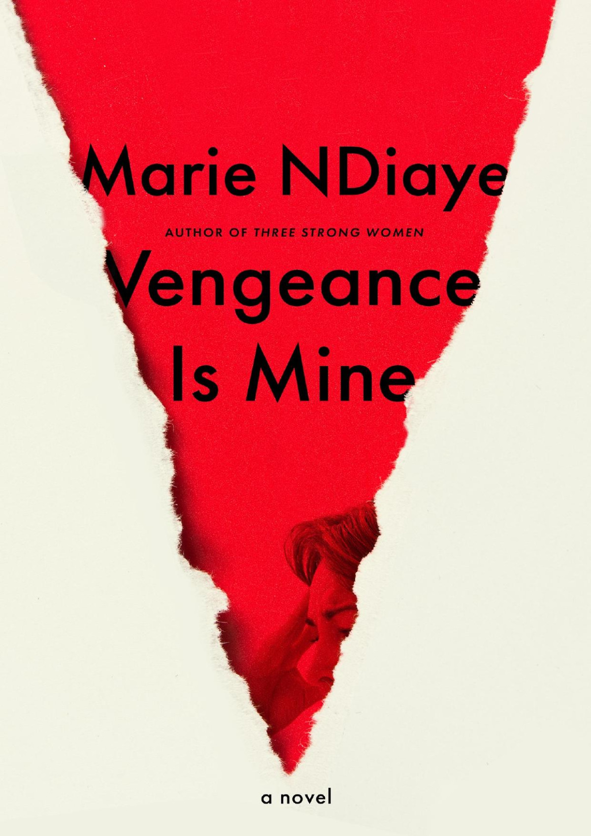 Vengeance Is Mine A Novel Marie Ndiaye Jordan Stump Translation