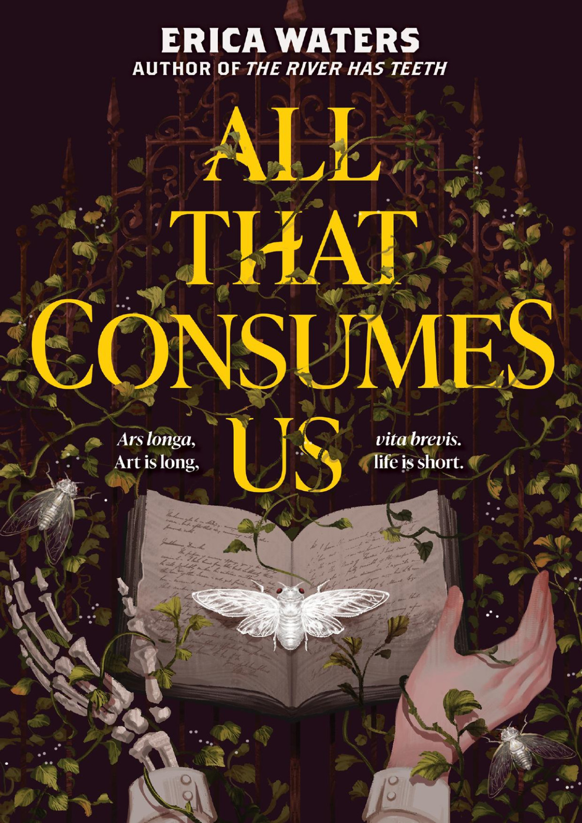 All That Consumes Us 1st Edition Erica Waters