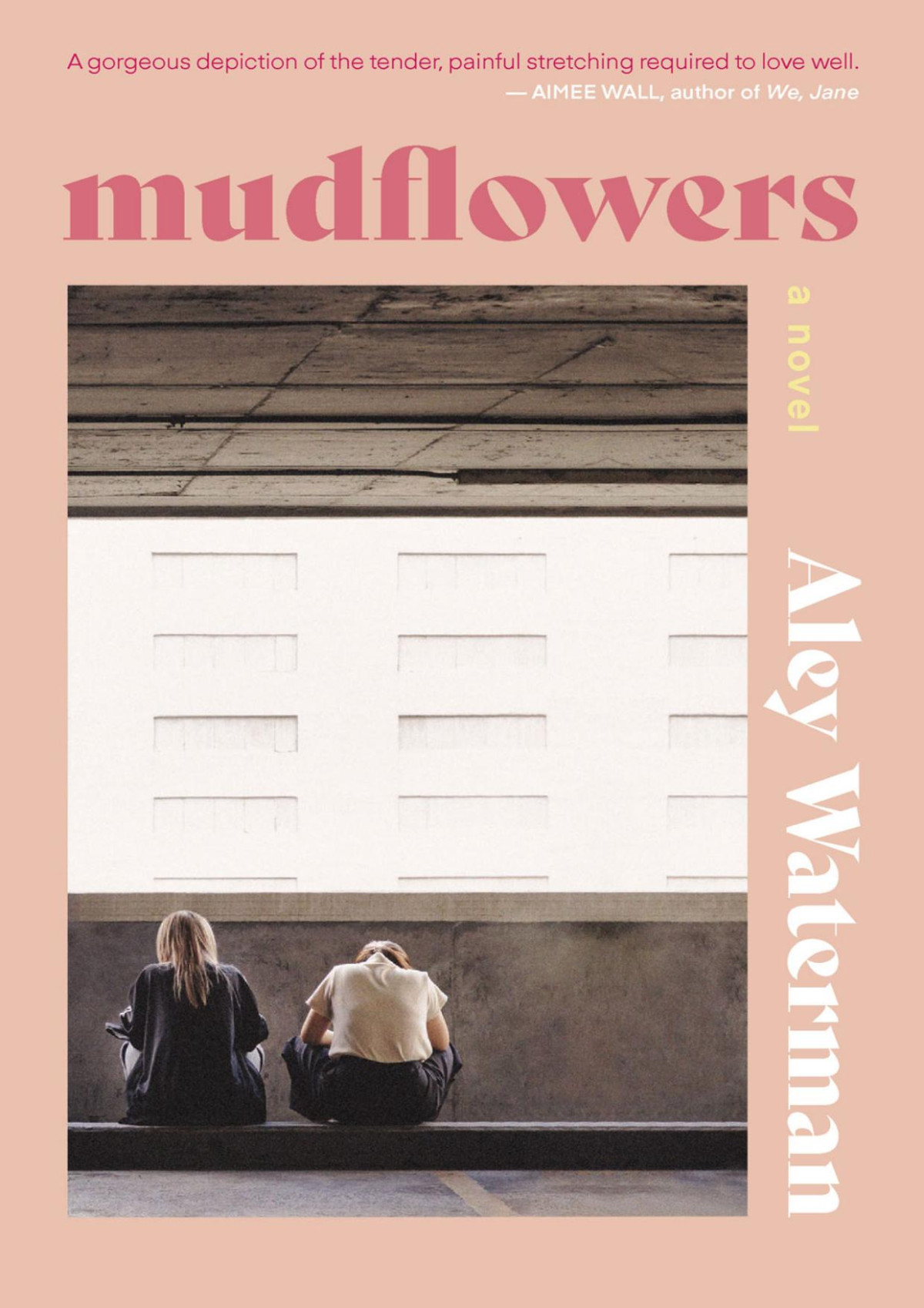 Mudflowers 1st Edition Aley Waterman