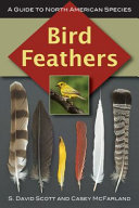 Bird Feathers A Guide To North American Species Shannon David Scott