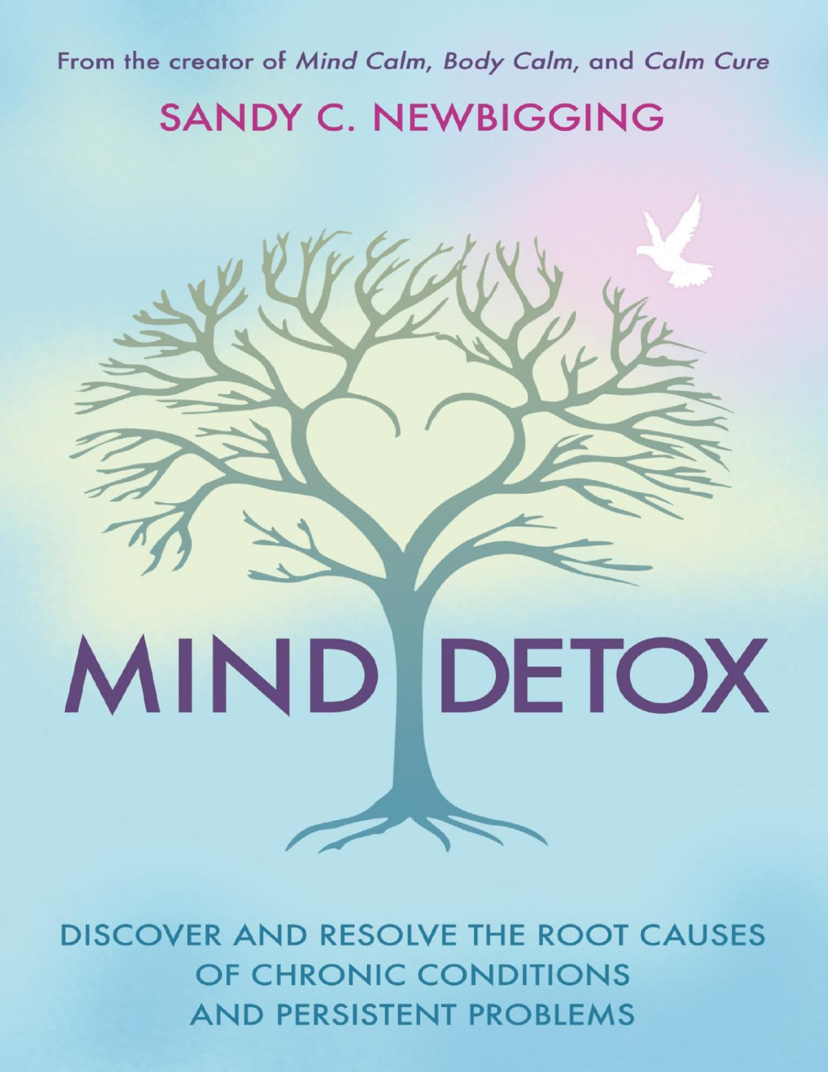 Mind Detox Sandy C Newbigging